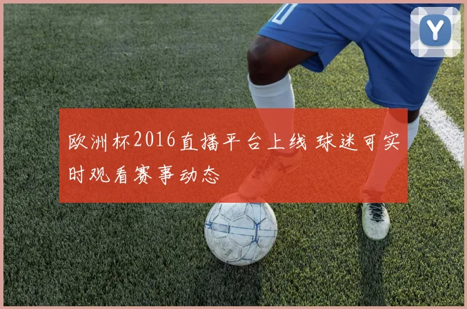 欧洲杯2016直播平台上线 球迷可实时观看赛事动态