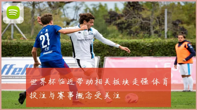 世界杯临近带动相关板块走强 体育投注与赛事概念受关注